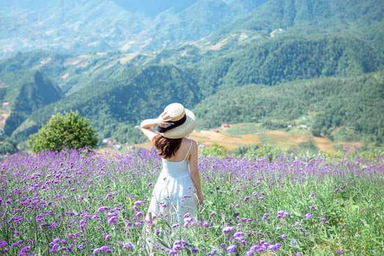 Ragazza tra campi di fiori