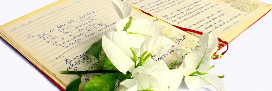 fiori su carta