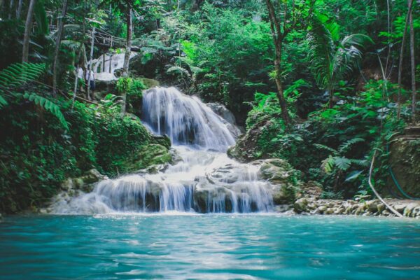 photography of waterfalls between trees