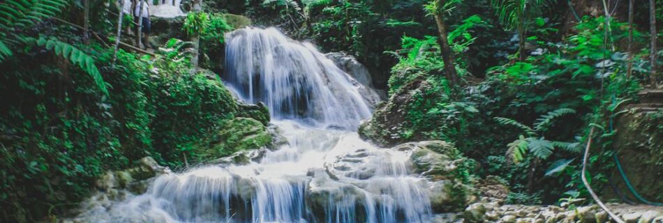 photography of waterfalls between trees