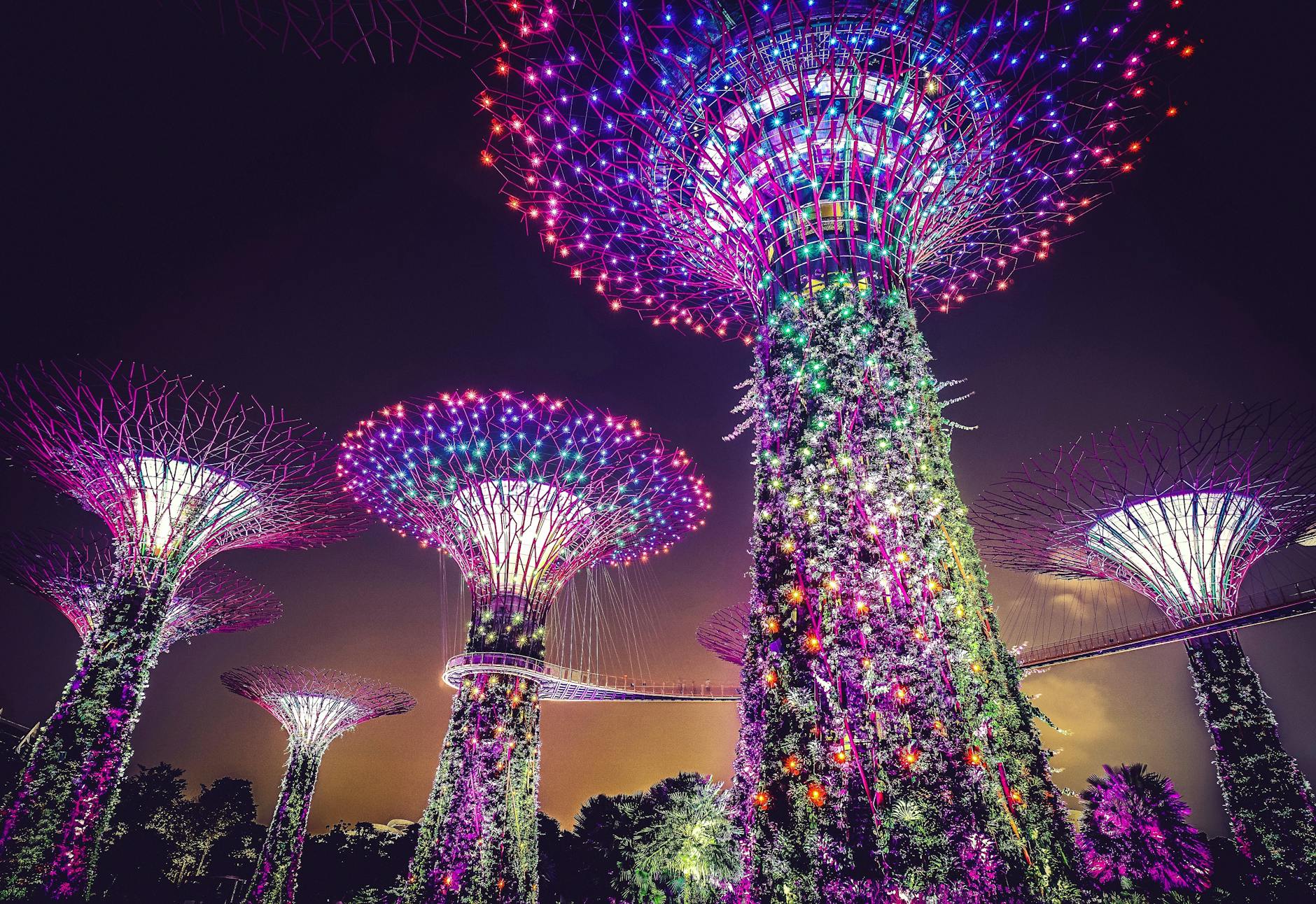 gardens by the bay at night